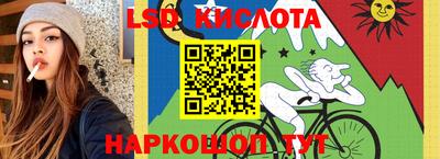 Альфа ПВП Кандалакша