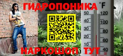 Альфа ПВП Кандалакша