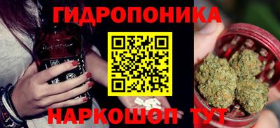 сатива Канаш