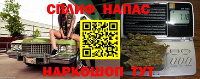 сатива Канаш