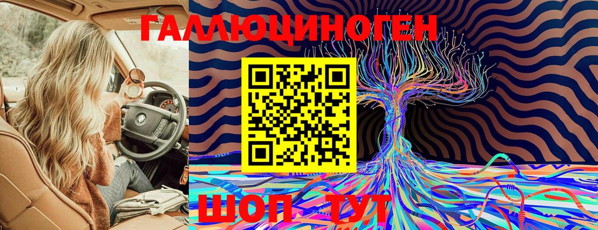 Ивантеевка  Псилоцибиновые грибы Psilocybe  Вход с VPN 