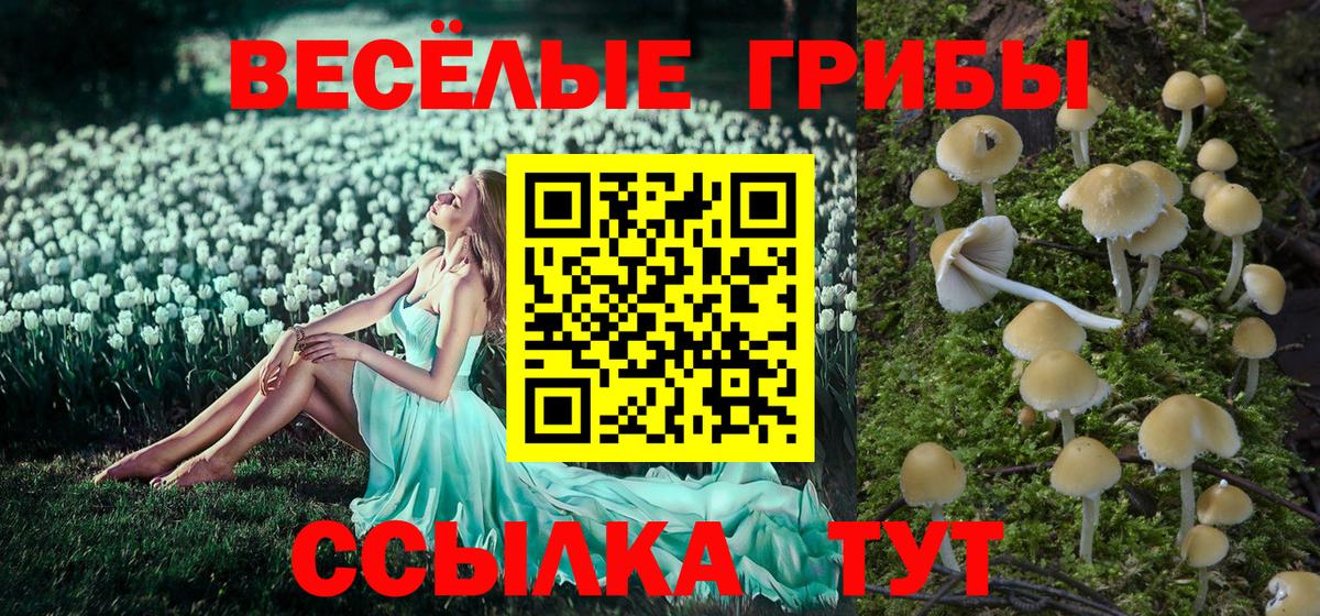 Галлюциногенные грибы Magic Shrooms Ивантеевка